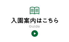 はいチーズ！