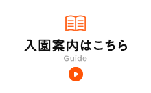 はいチーズ！