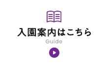 はいチーズ！