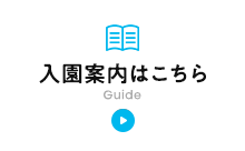 入園案内はこちら