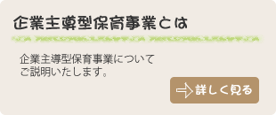 企業主導型保育事業とは