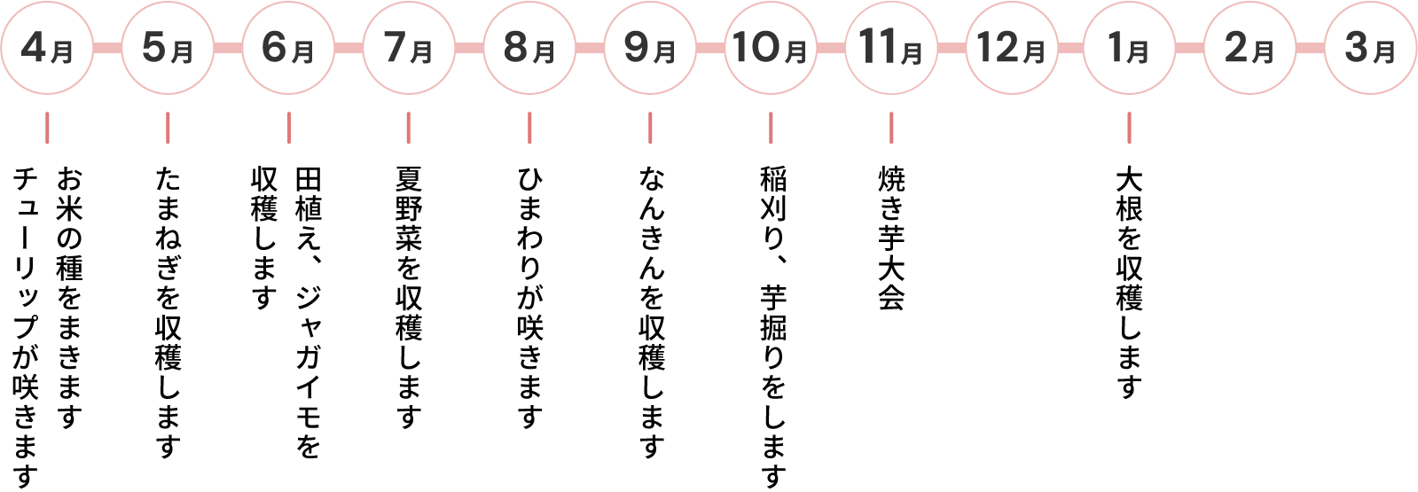 きららファームの1年間