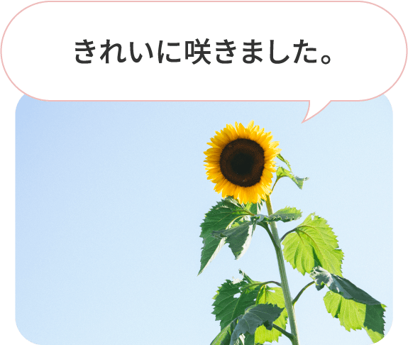 芋掘りしました！